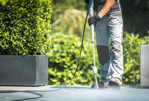 Best Animal Enclosure Cleaning  in Dansville, NY